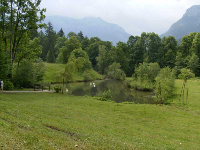 DIGITAL CAMERA