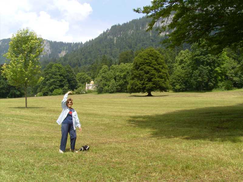 DIGITAL CAMERA