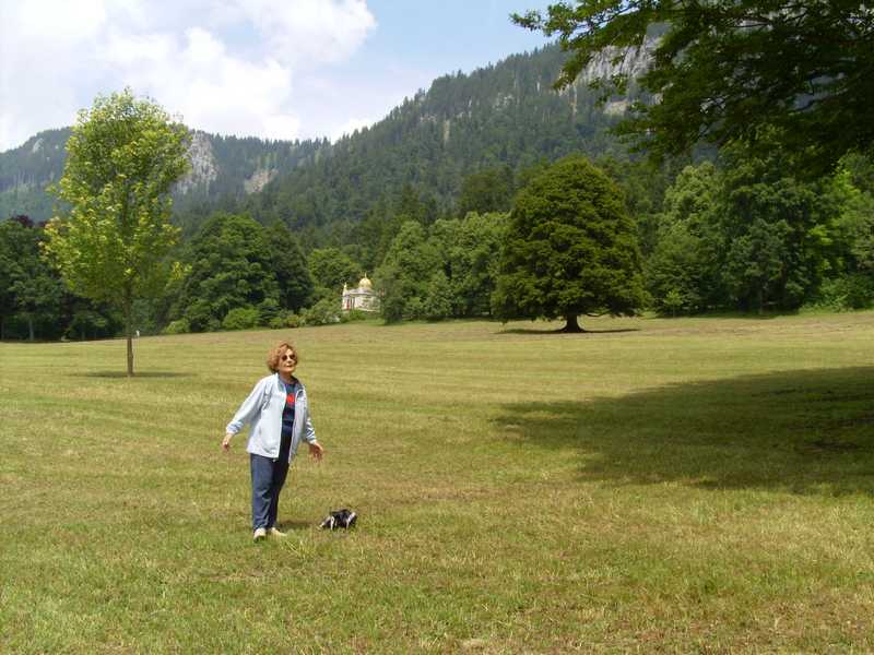 DIGITAL CAMERA