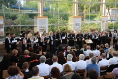 concerto mureo romano (27)
