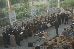 concerto mureo romano (49)
